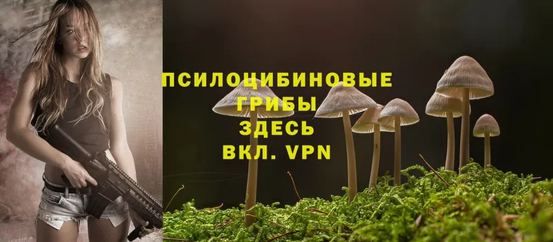 Псилоцибиновые грибы Cubensis  где купить наркоту  Энем 